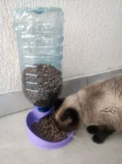 Kendi Kendini Dolduran Mama Kabı