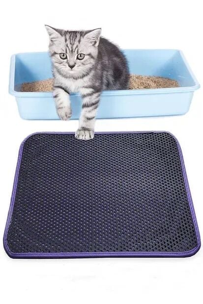 Kedi Kumu Paspası Baskısız 40x60
